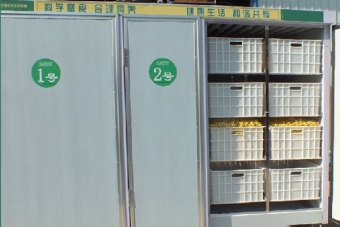 全自動豆芽機(jī)